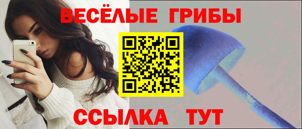 Псилоцибиновые грибы GOLDEN TEACHER  Галлюциногенные грибы прущие грибы  Вход с VPN  Туймазы 
